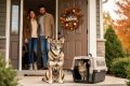 Rescued dog and cat being welcomed by adopters at a cozy home entrance in Lincoln.
